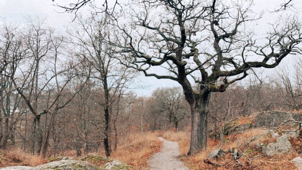 Så håller du dig friskare under vintern