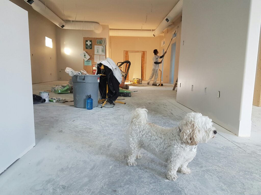 Varför rätt dam arbetsbyxor är viktiga även för gör-det-själv-projekt i hemmet